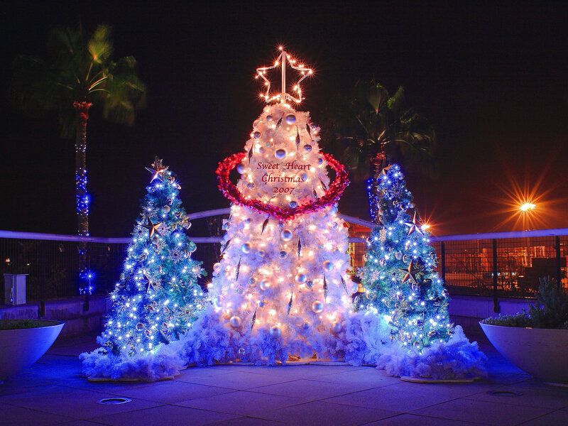 Three Decorated Christmas Trees — White, Festive