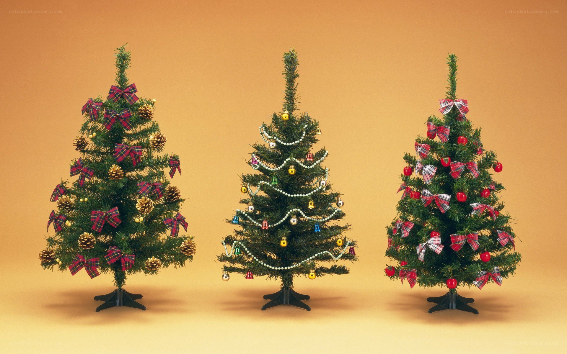 Three decorated Christmas trees