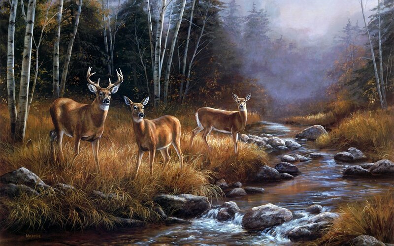Three Deer by Stream