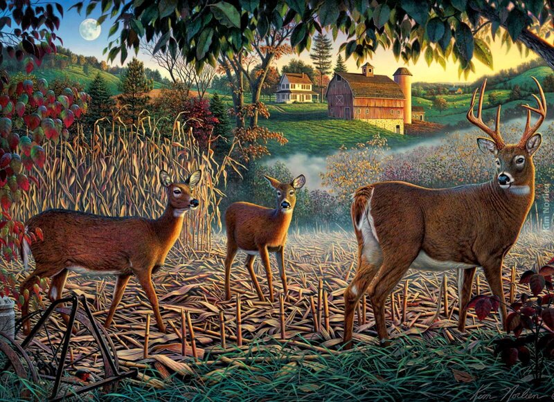 Three Deer in a Field