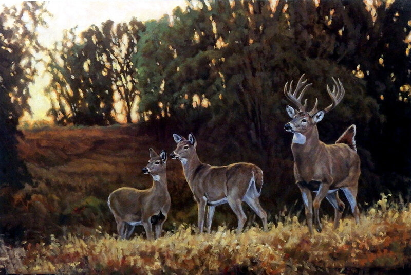 Three Deer in Field — Brown, Serene