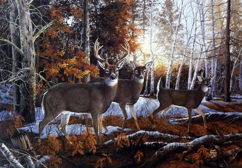 Three Deer in Forest — Brown, Serene