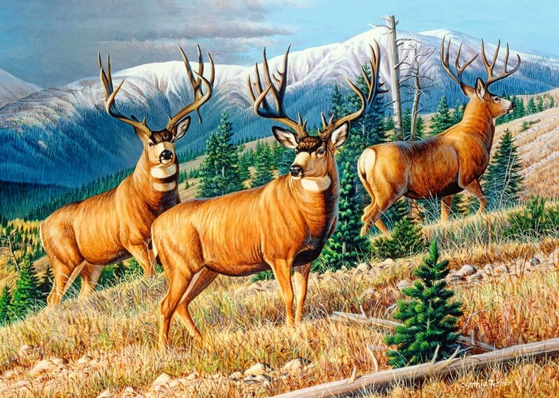Three Deer in Mountains