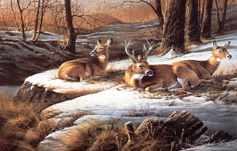 Three Deer in Snow — Brown, Serene, Winter, Painting