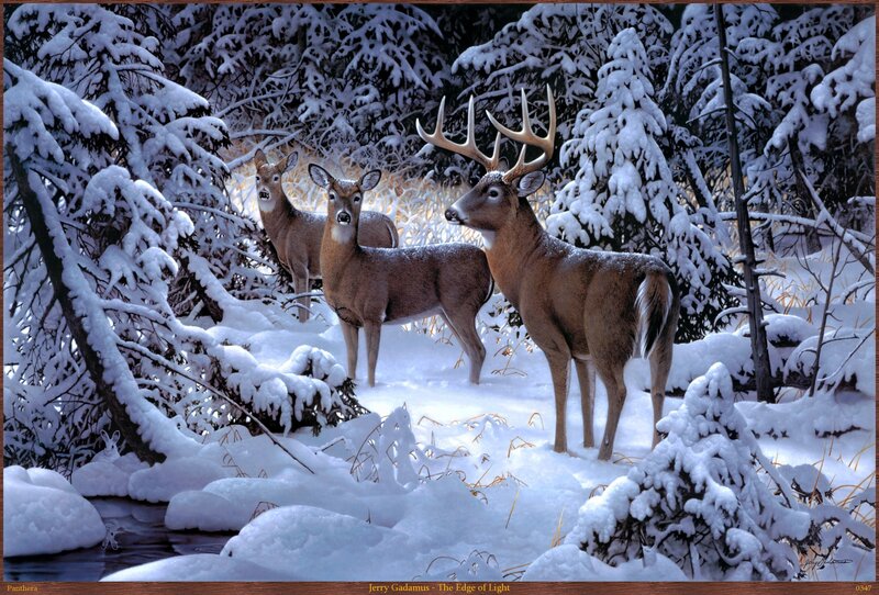 Three Deer in Snow — White, Serene