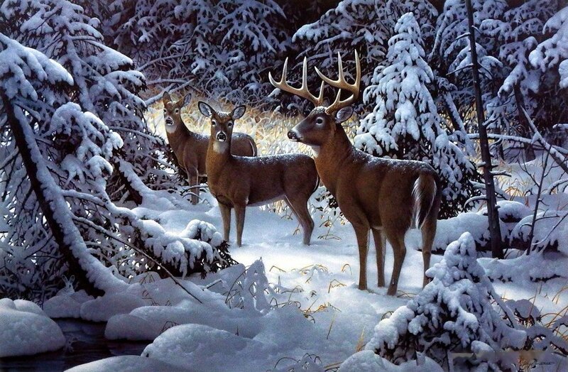 Three Deer in Snow — White, Serene, Winter, Painting