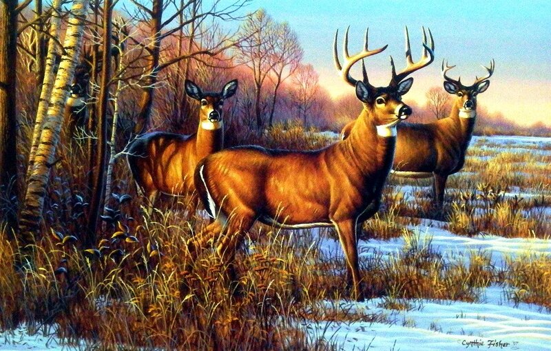 Three Deer in Winter
