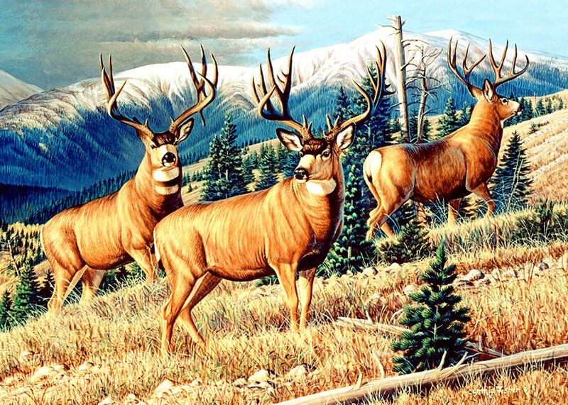 Three Deer on a Hillside — Brown