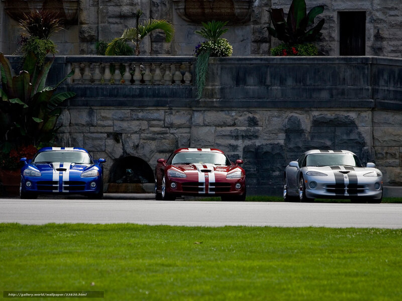 Three Dodge Viper Cars