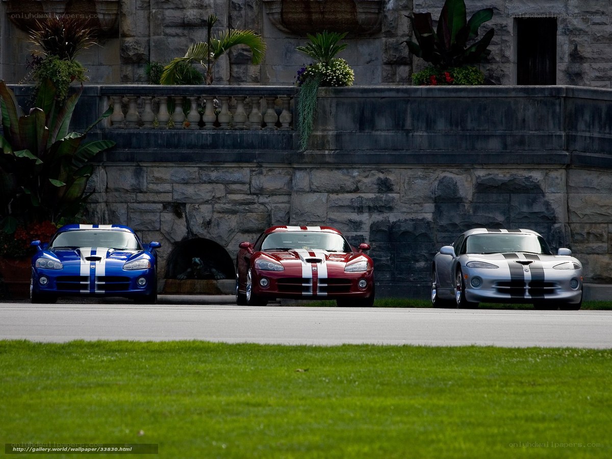 Three Dodge Viper sports cars
