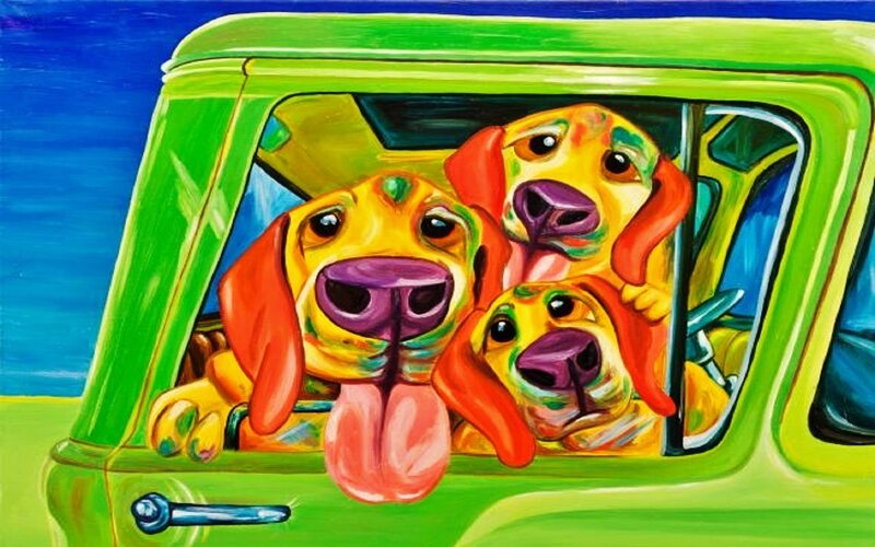 Three Dogs in Car