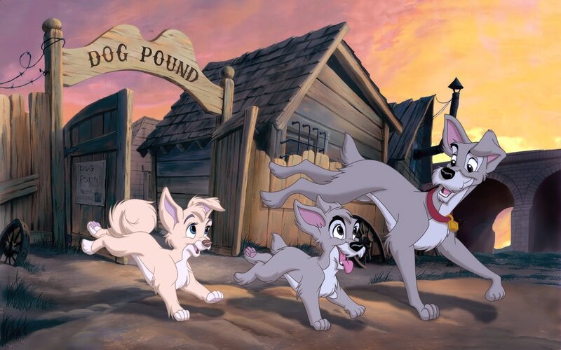 Three Dogs Running — Gray