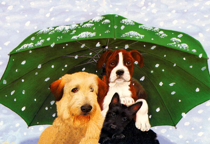 Three Dogs under Umbrella — Green
