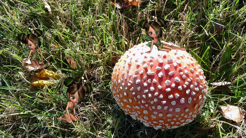 Three Dolls on Mushrooms