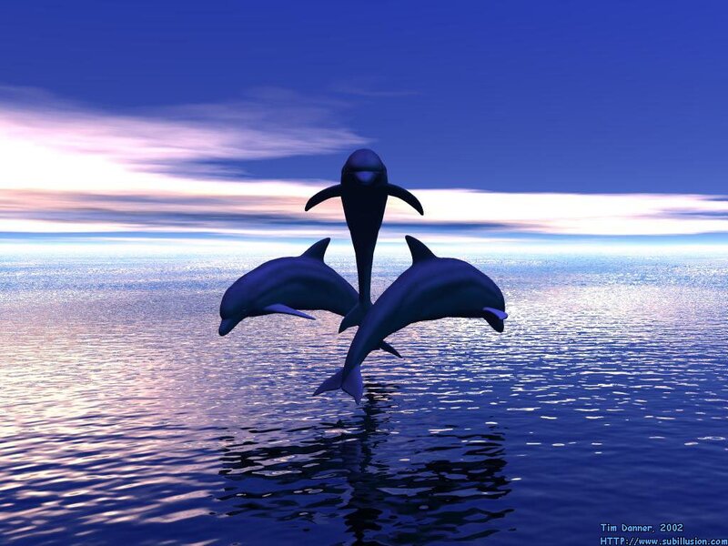 Three Dolphins Jumping — Blue, Serene