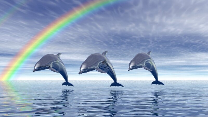 Three Dolphins Jumping