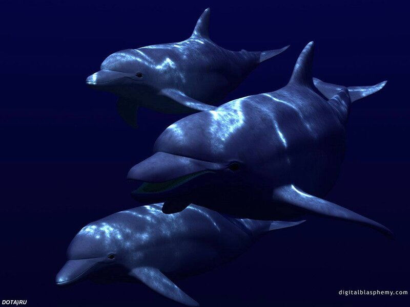 Three Dolphins Swimming — Blue, Serene, Night