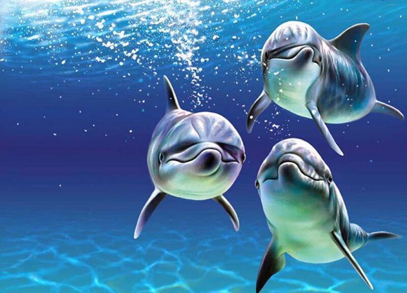 Three Dolphins Swimming — Blue, Serene