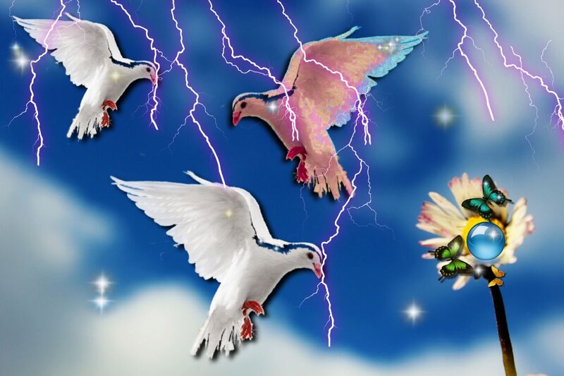 Three Doves in Sky