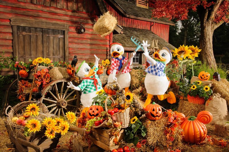 Three Duck Characters in Autumn
