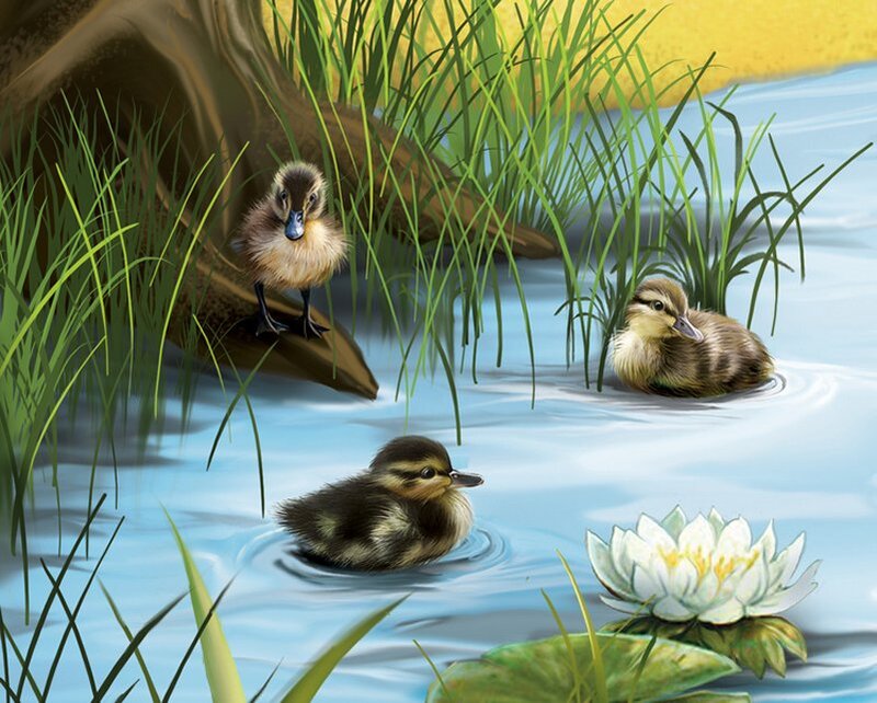 Three Ducklings in Pond