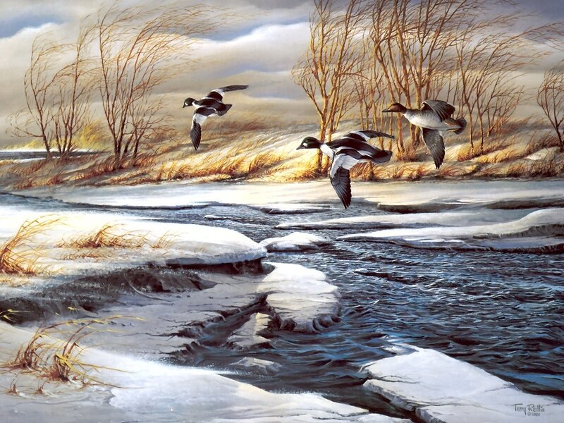 Three Ducks Flying