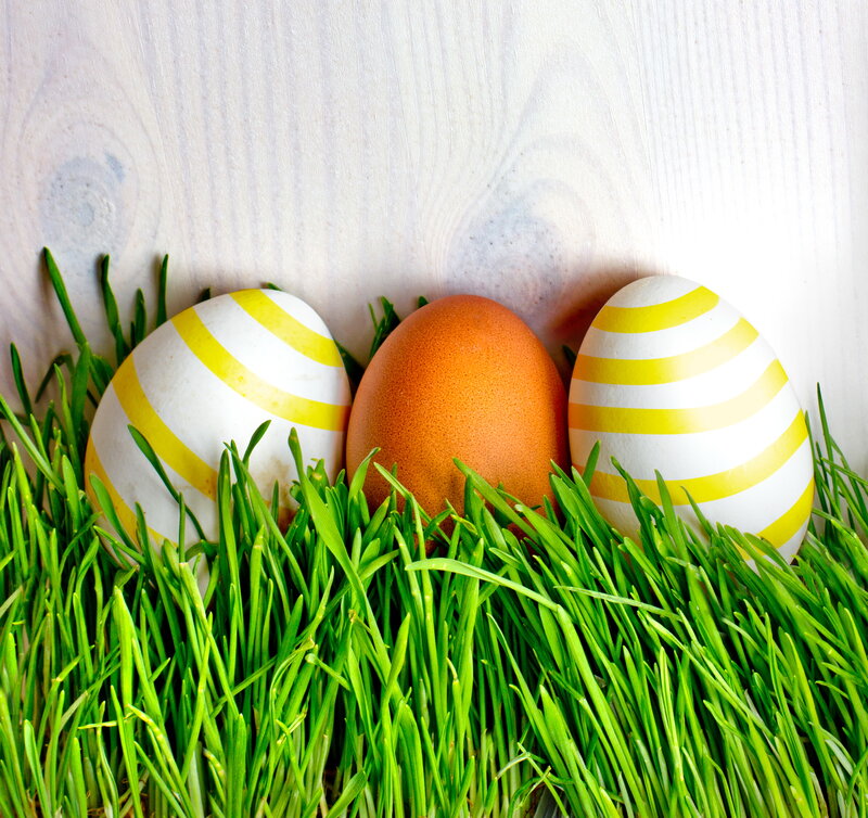Three Easter Eggs in Grass
