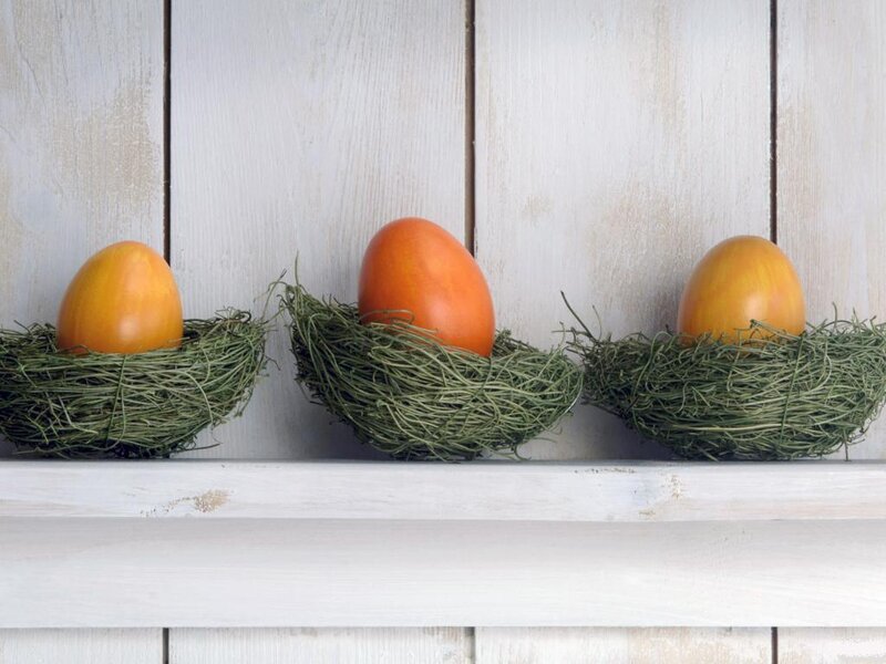Three Eggs in Nests