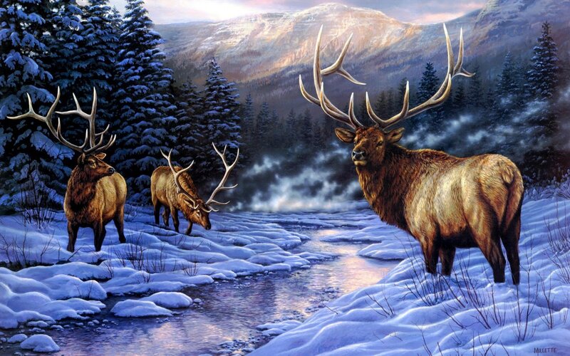 Three Elk in Snow — Blue