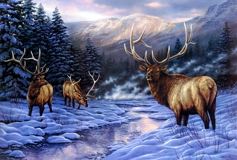 Three Elk in Winter