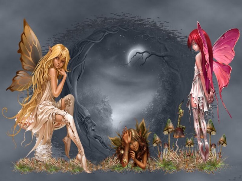 Three Fairies in Forest — Gray