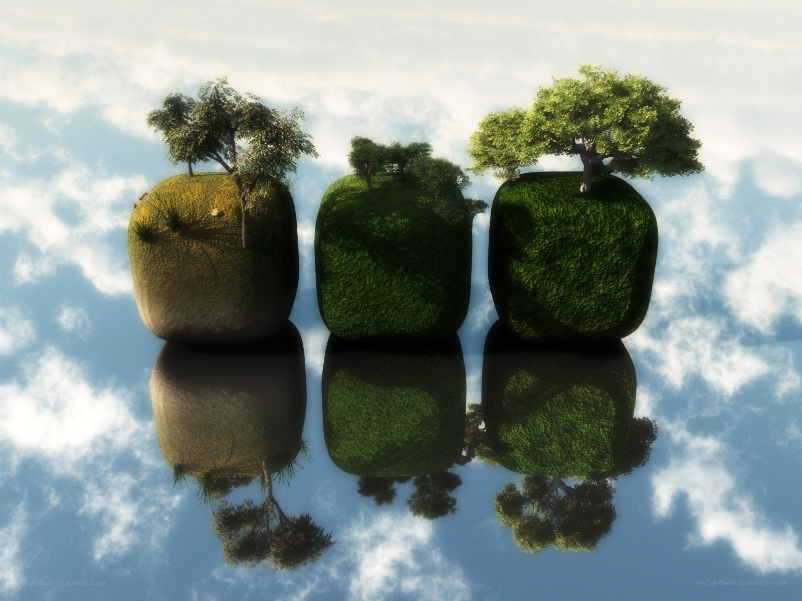 Three floating islands with trees