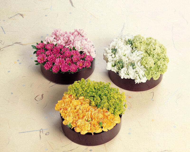 Three Flower Arrangements