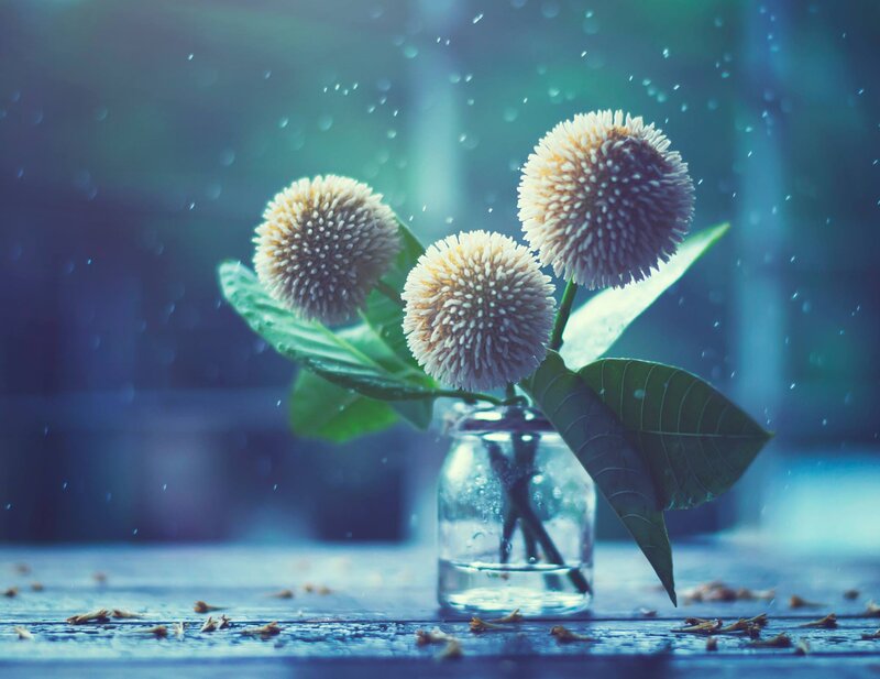Three Flowers in a Jar