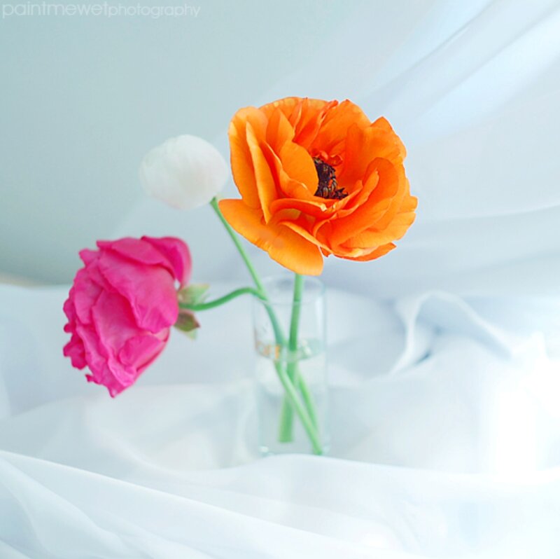 Three Flowers in a Vase