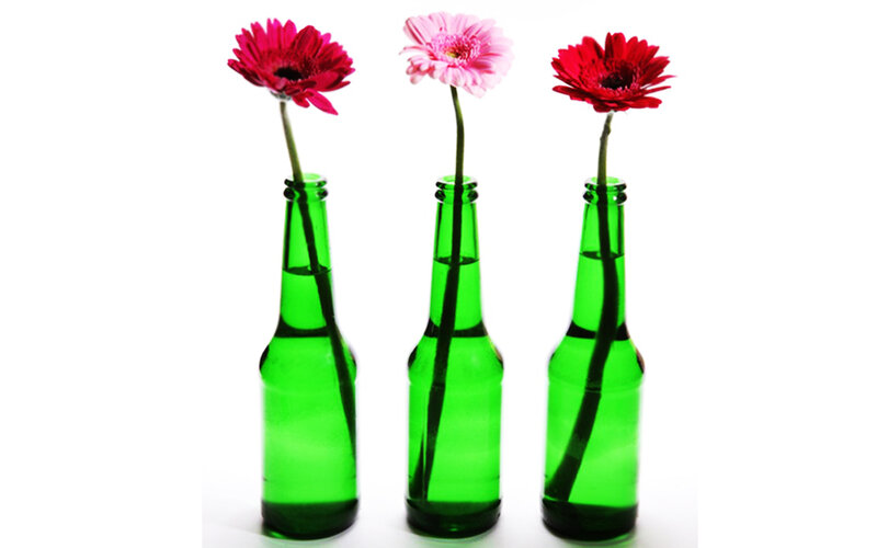 Three Flowers in Bottles