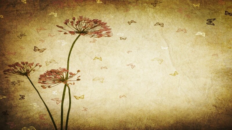 Three Flowers with Butterflies