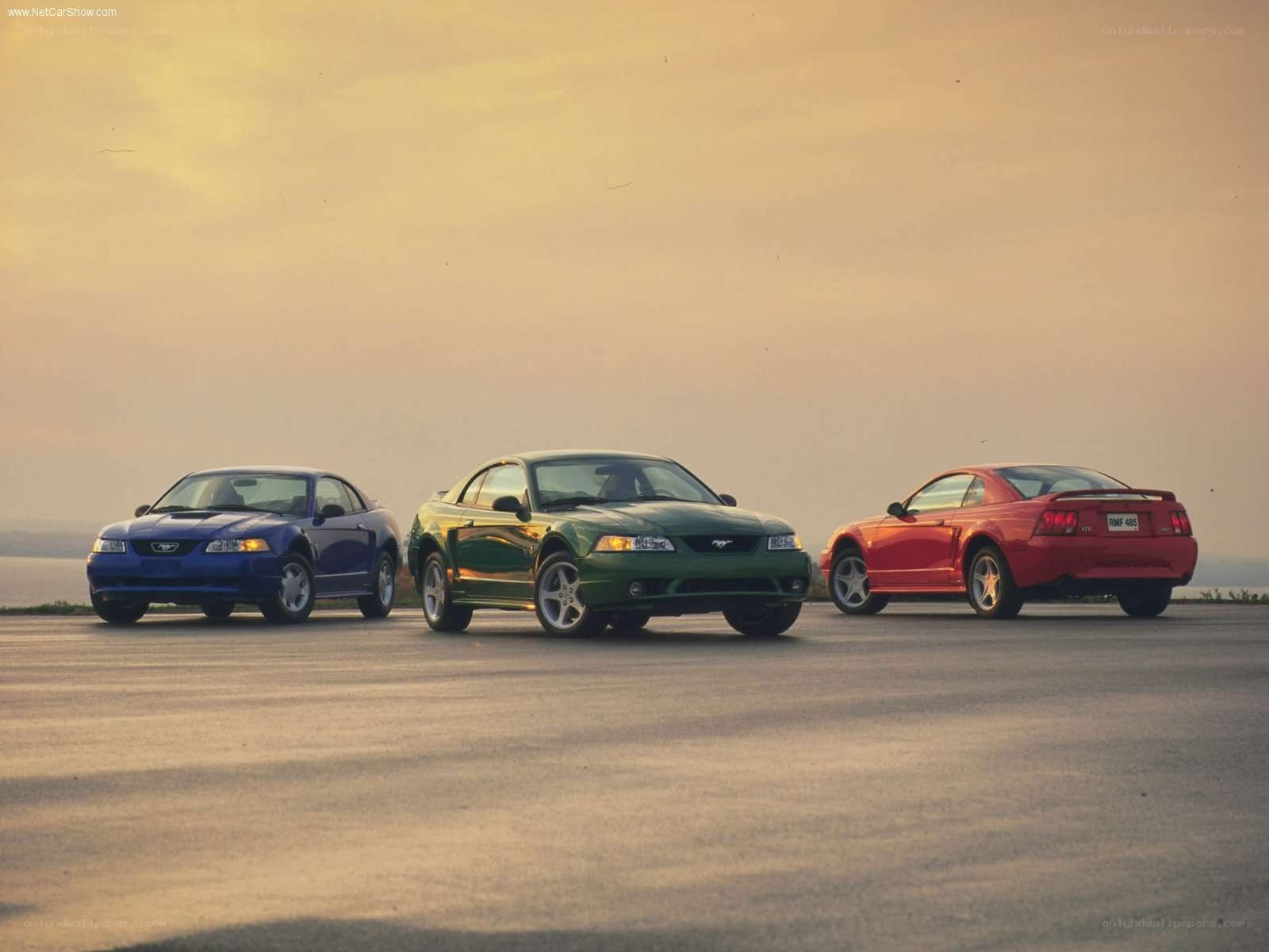 Three Ford Mustangs at sunset