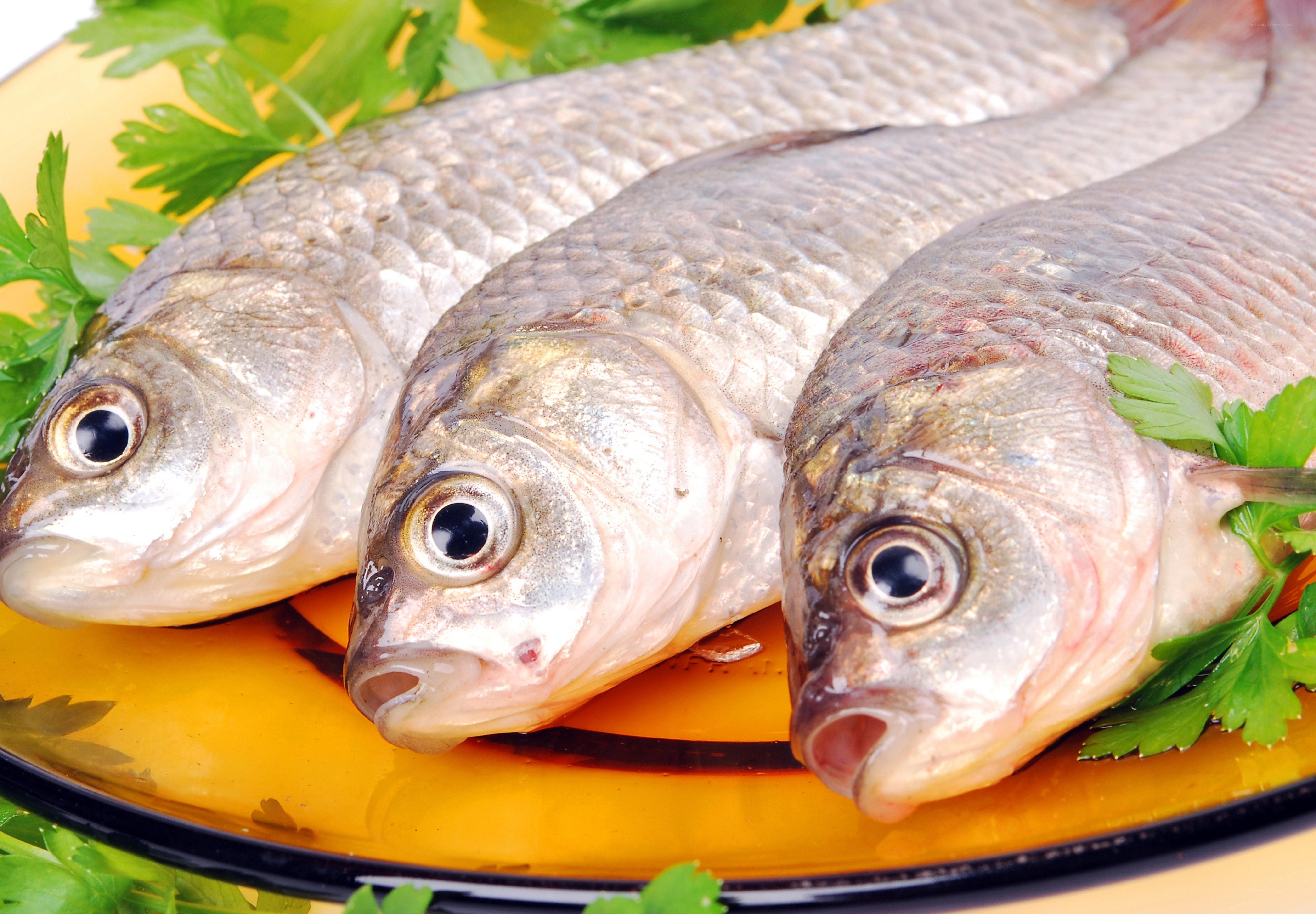 Three fresh fish on a plate