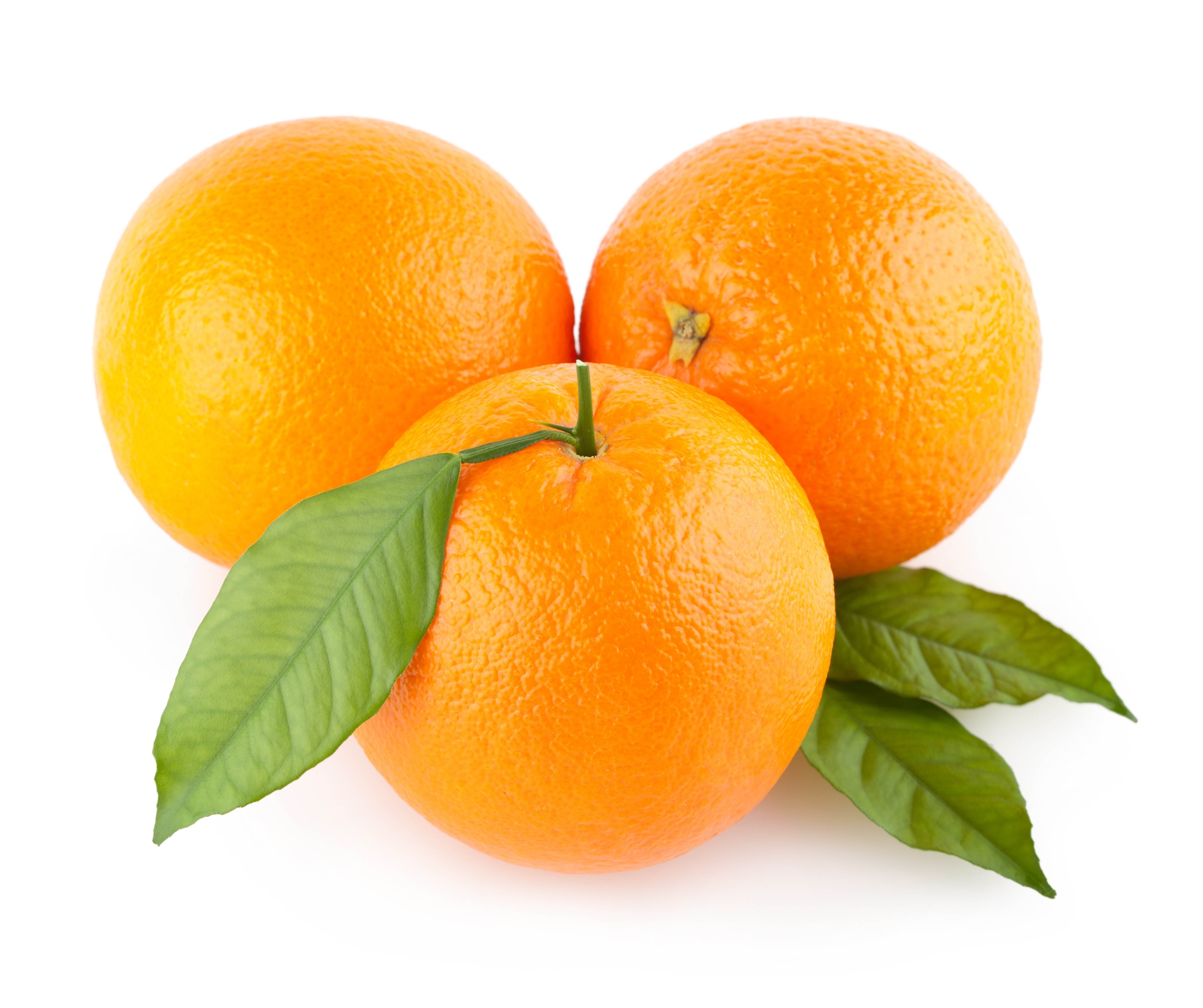 Three fresh oranges with leaves