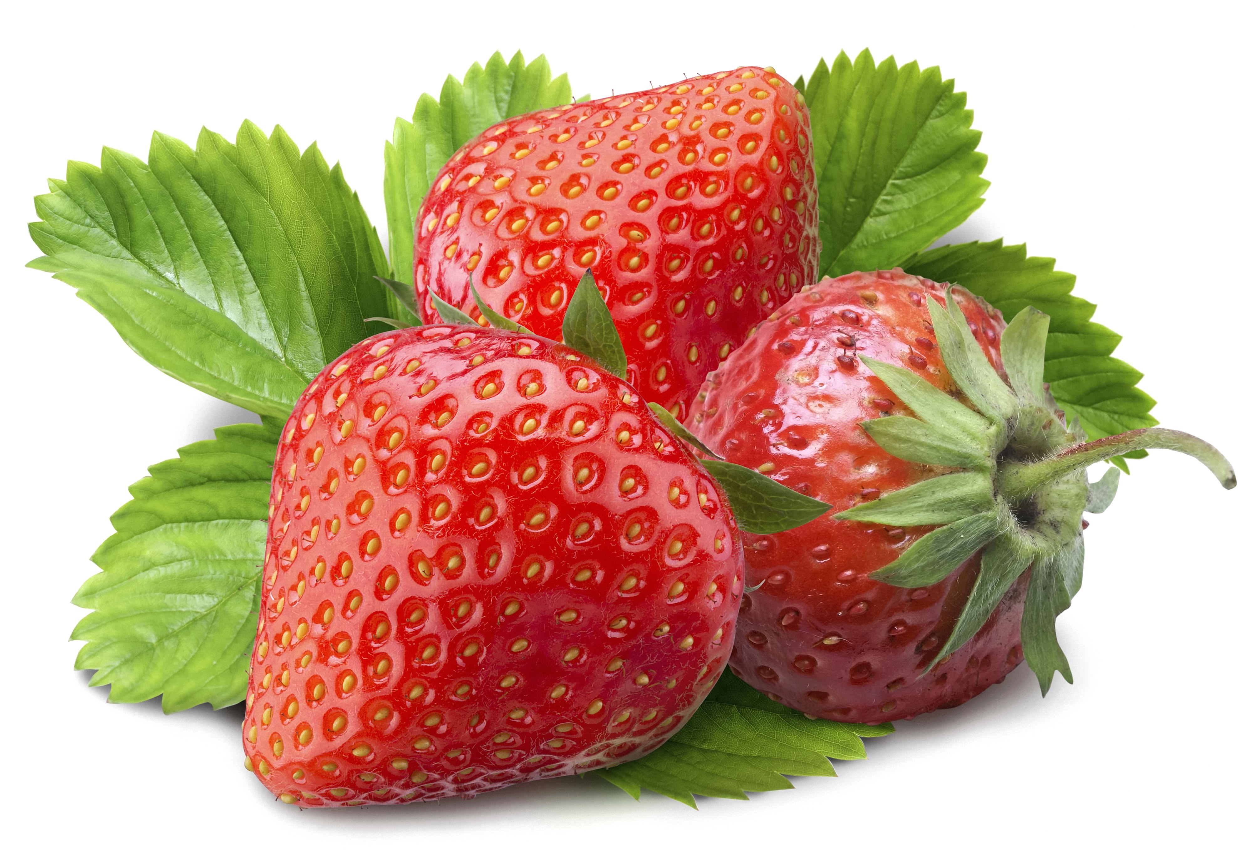 Three fresh strawberries with leaves