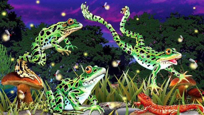 Three Frogs in Forest