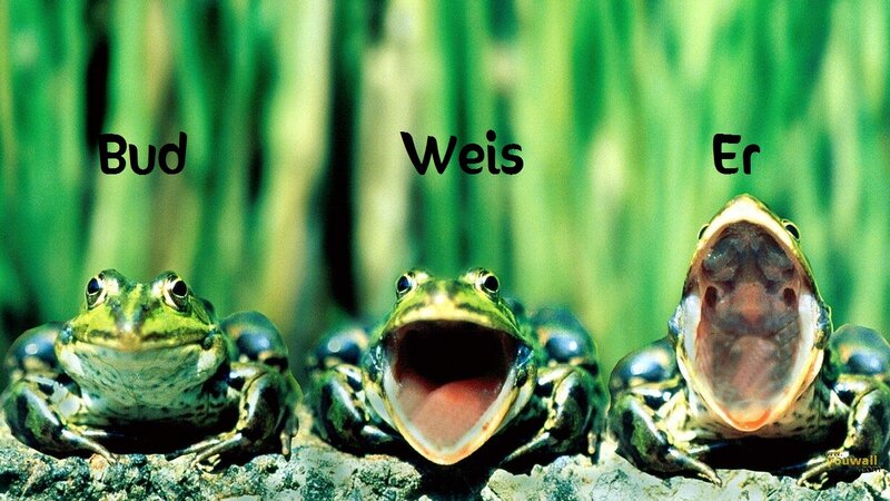 Three Frogs on Rock — Green, Humorous