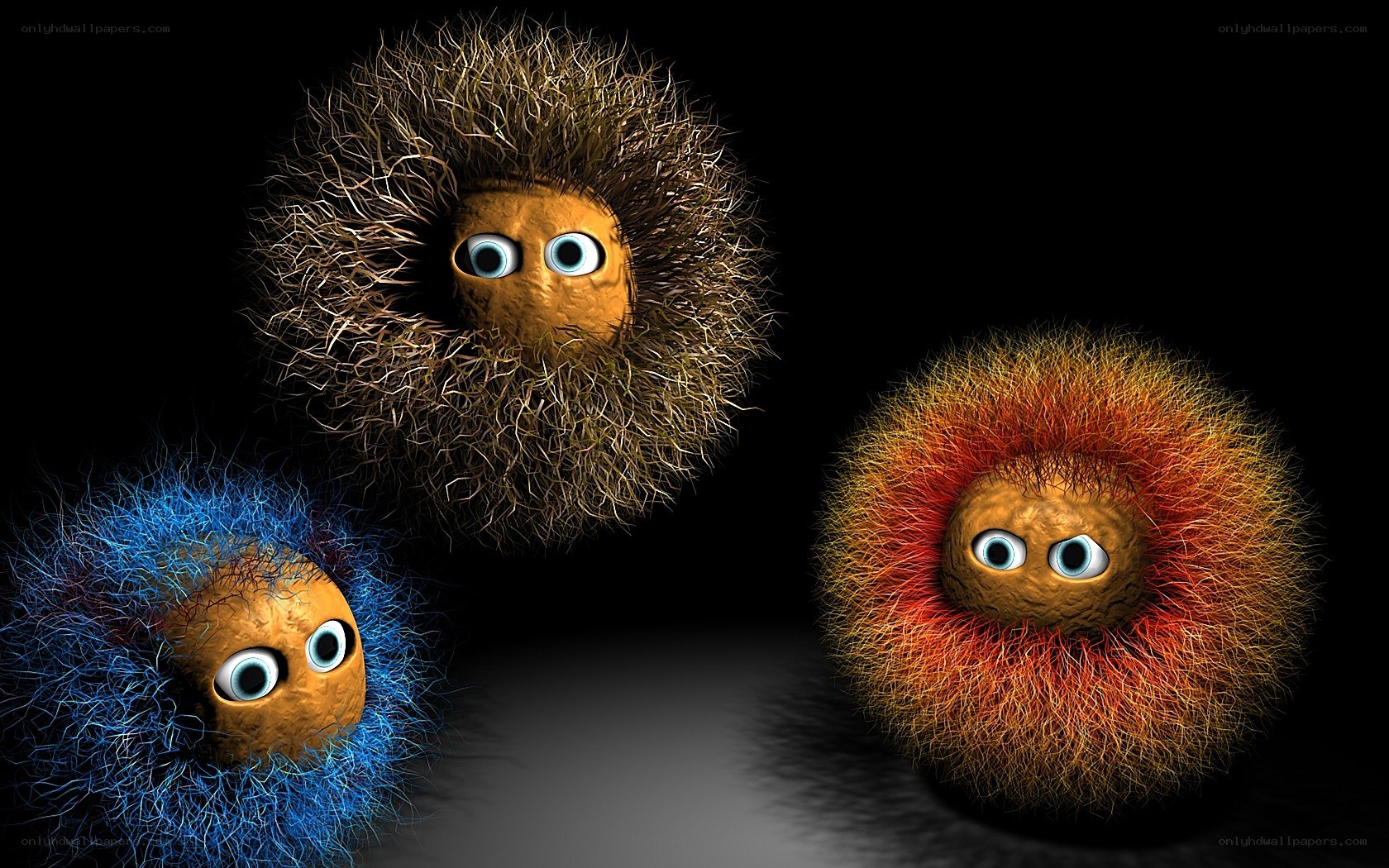 three furry creatures with big eyes