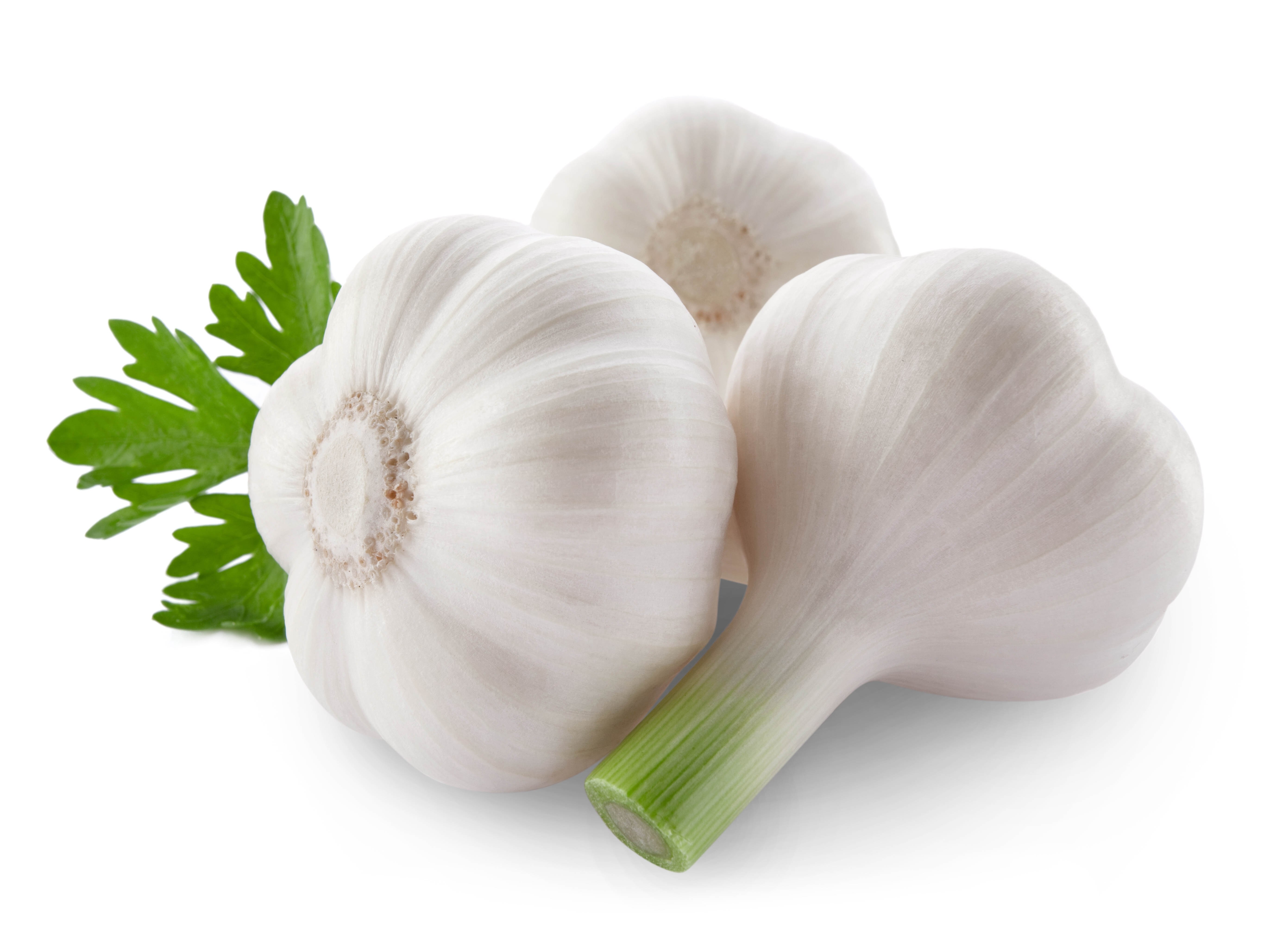 Three garlic bulbs with parsley