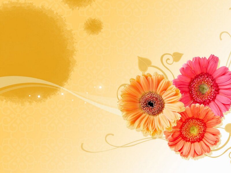 Three Gerbera Daisies — Yellow