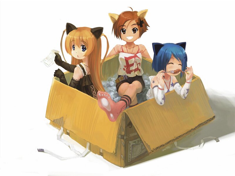 Three Girls in a Box — Yellow, Playful