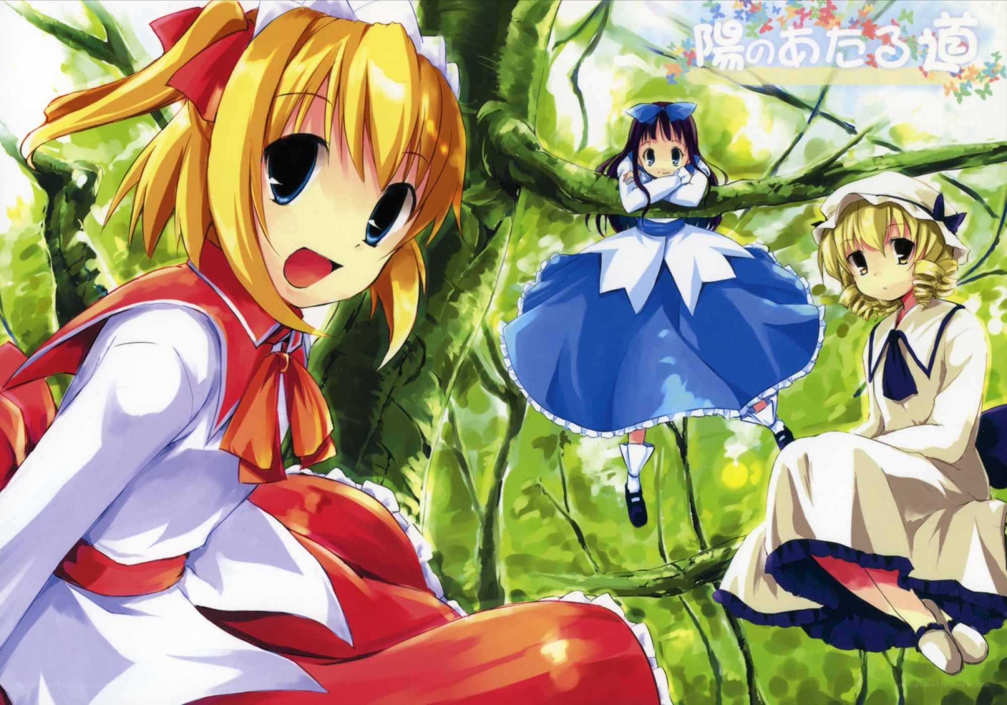 Three girls in a forest