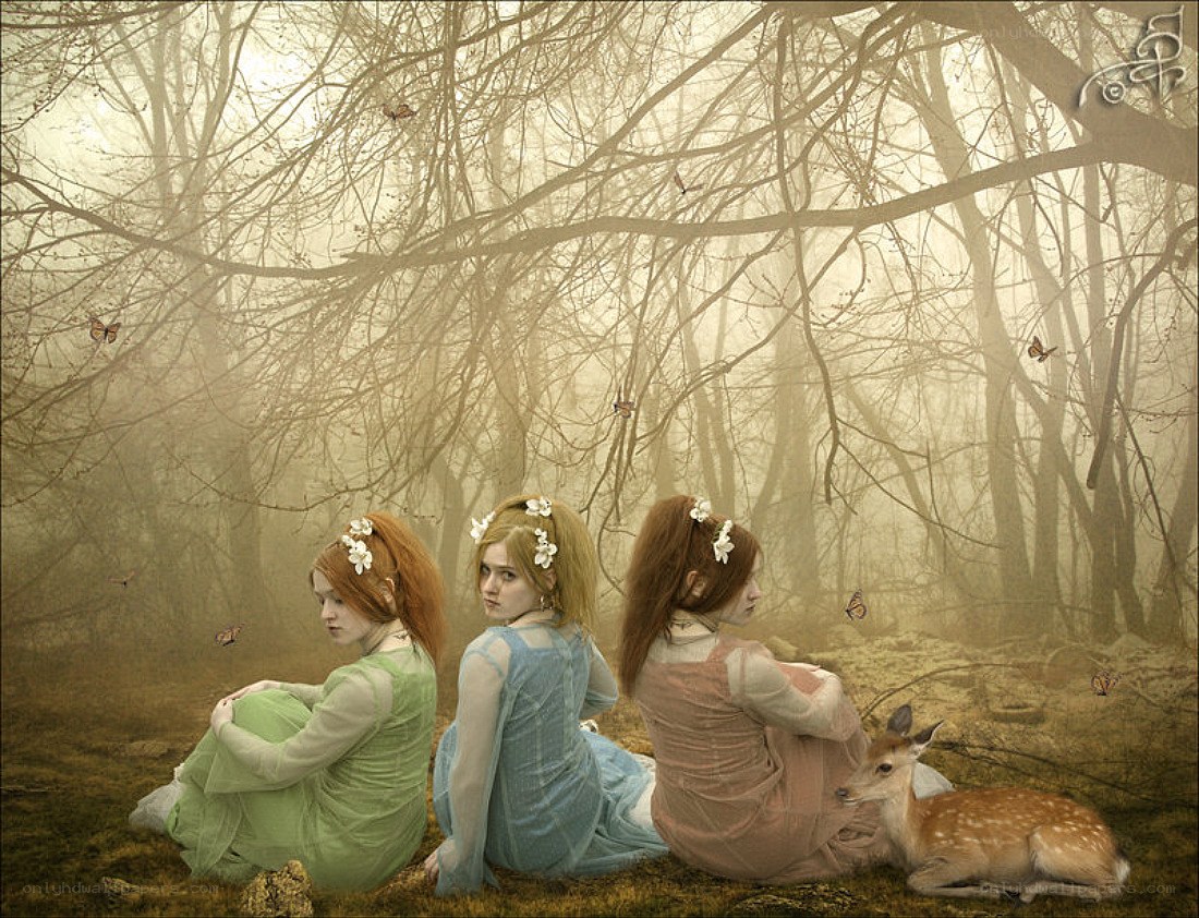 Three girls in a misty forest