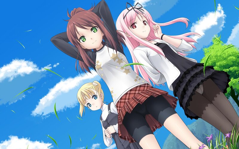 Three girls in a sunny field